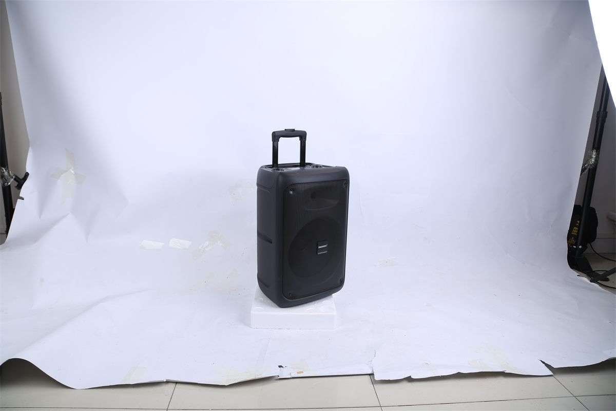 Aisivo Portable Party Speaker with Lights, TWS, FM & Remote - detail view 3